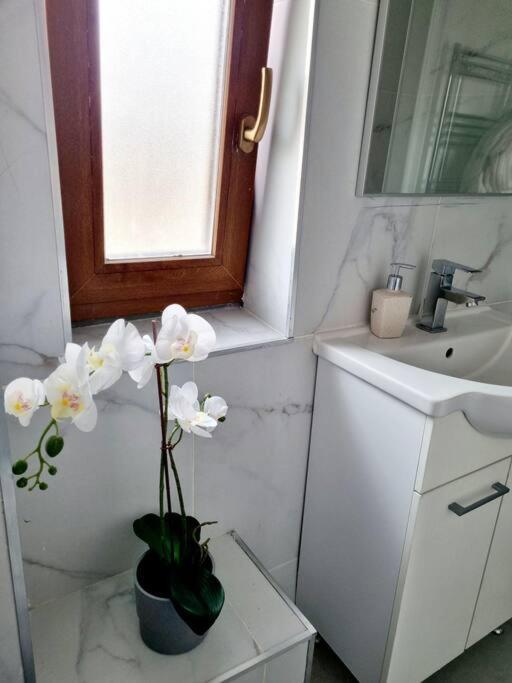 Cozy Apartment Near City Center Bucureşti Eksteriør bilde
