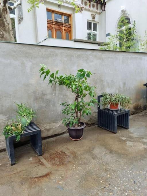 Cozy Apartment Near City Center Bucureşti Eksteriør bilde
