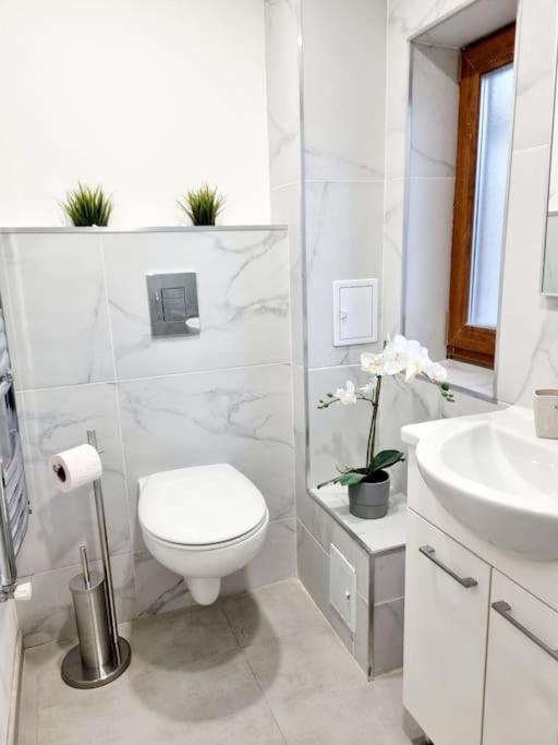 Cozy Apartment Near City Center Bucureşti Eksteriør bilde